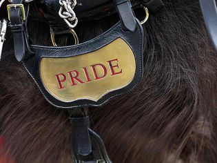 4月1日:2013年4月1日，在英国阿尔迪利，马游行前，马鞍上的马的名字细节。