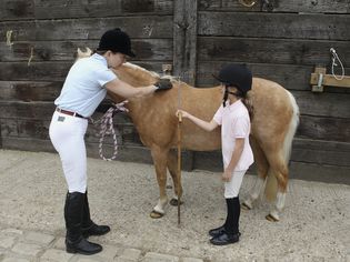 一名妇女和一名女孩用量尺测量小马的高度