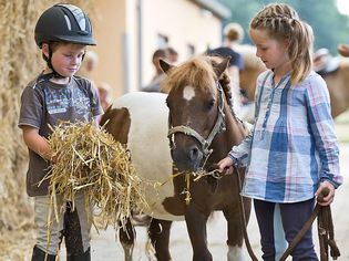 男孩和女孩骑着迷你设得兰矮种马