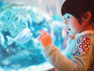 可爱的小女孩在水族馆欣赏鱼