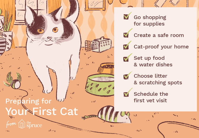 第一只猫的检查清单说明