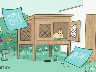 兔子的插图和建造一个笼子的计划