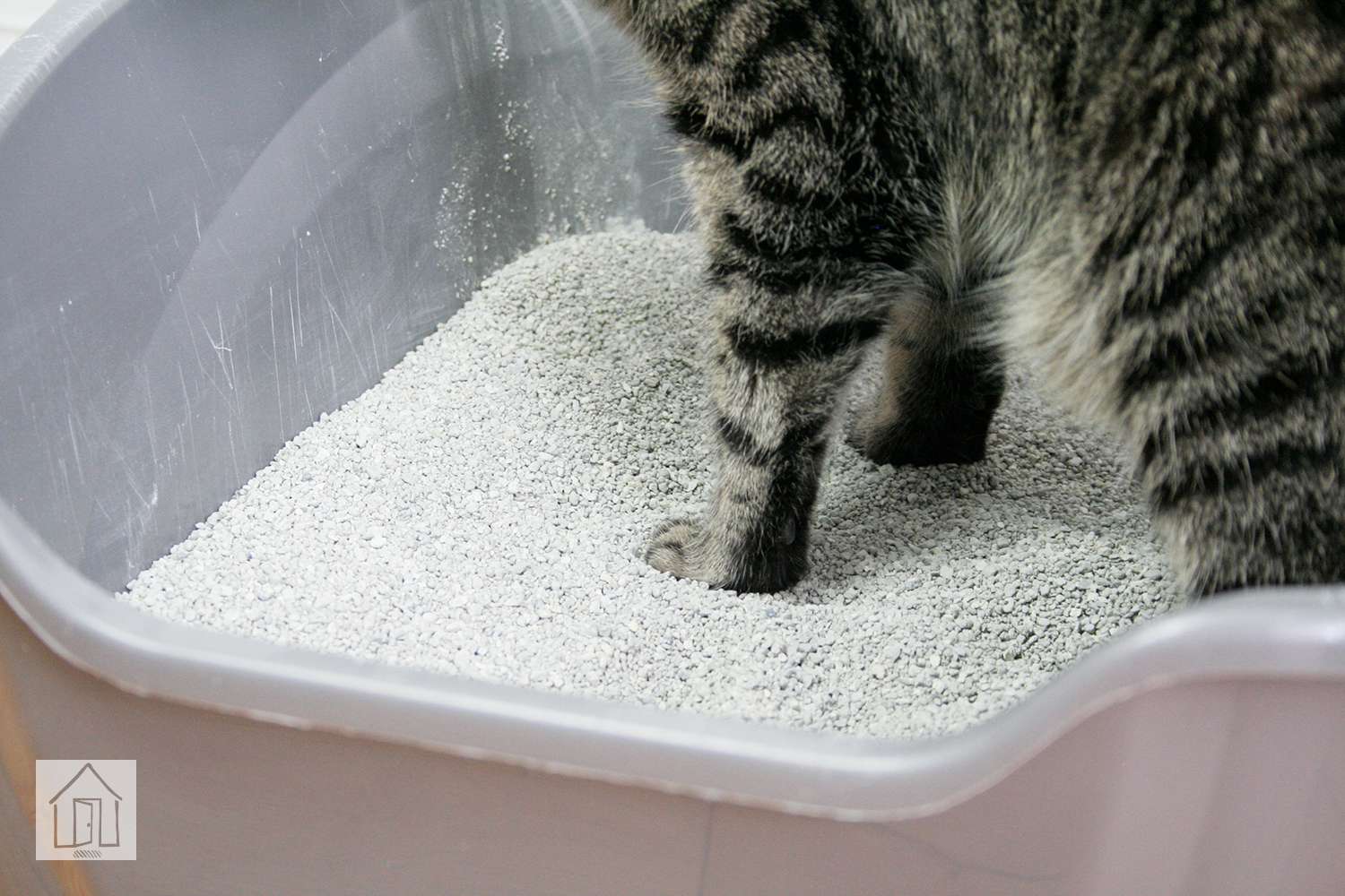 爱思医生的珍贵猫超凝块猫砂