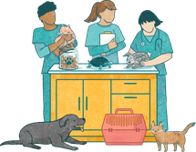 三名兽医在桌子上照顾各种动物的插图