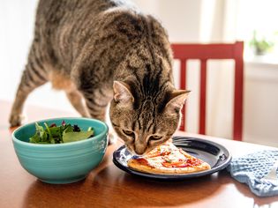 黑色盘子里有一块棕色猫味的披萨，旁边是一碗蓝色的沙拉