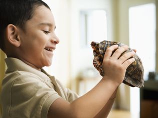 男孩抱着宠物乌龟