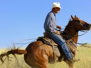 牛仔骑着栗色的马