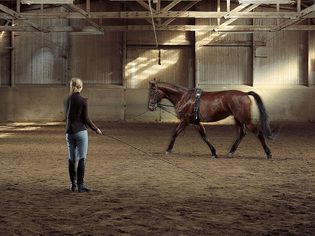 一名女子牵着一匹马在一个区域周围练习箭步。