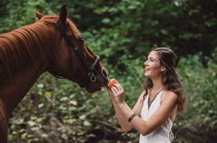 喂食物是一种奖励你的马和你的马建立联系的方式