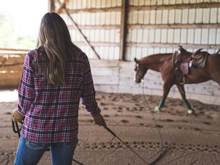 女人训练马