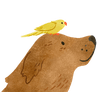一只小鸟坐在狗的头上的插画