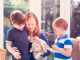母亲和儿子在抚摸一只兔子