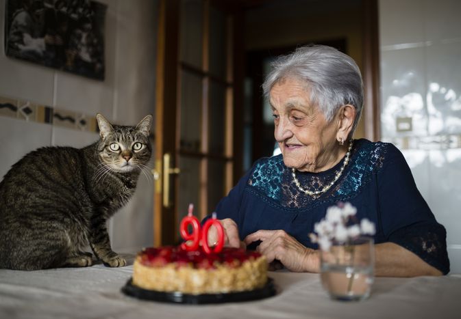 一位老年妇女和她的猫庆祝90岁生日